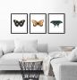Queence Wanddecoratie LANA HD premium posterdruk incl. houten lijst (1 stuk) - Thumbnail 1