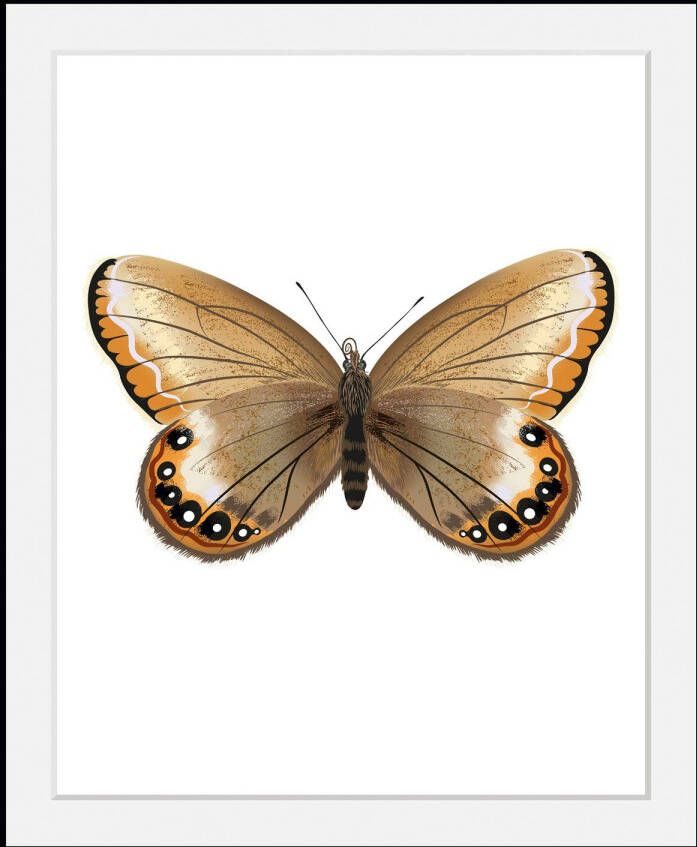 Queence Wanddecoratie Lexy HD premium posterdruk incl. houten lijst (1 stuk)