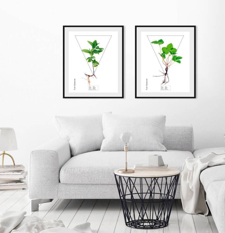 Queence Wanddecoratie Kruiden HD premium posterdruk incl. houten lijst (1 stuk)