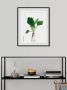 Queence Wanddecoratie Plantago (1 stuk) - Thumbnail 1