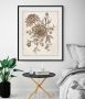 Queence Wanddecoratie Rosalie HD premium posterdruk incl. houten lijst (1 stuk) - Thumbnail 1