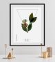 Queence Wanddecoratie Kruiden HD premium posterdruk incl. houten lijst (1 stuk) - Thumbnail 1