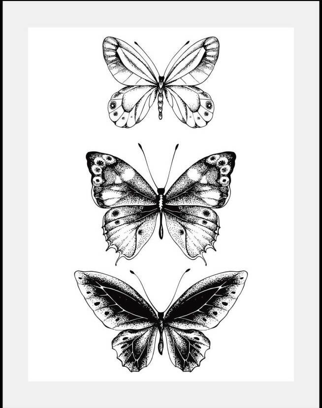 queence Wanddecoratie Vlinders HD premium posterdruk incl. houten lijst