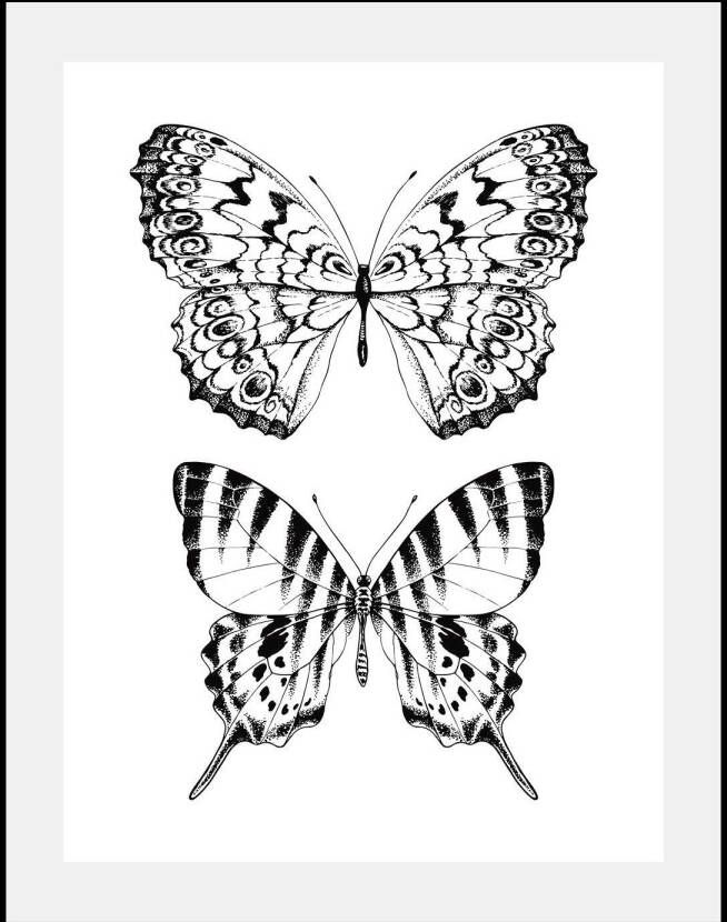 Queence Wanddecoratie Vlinders HD premium posterdruk incl. houten lijst