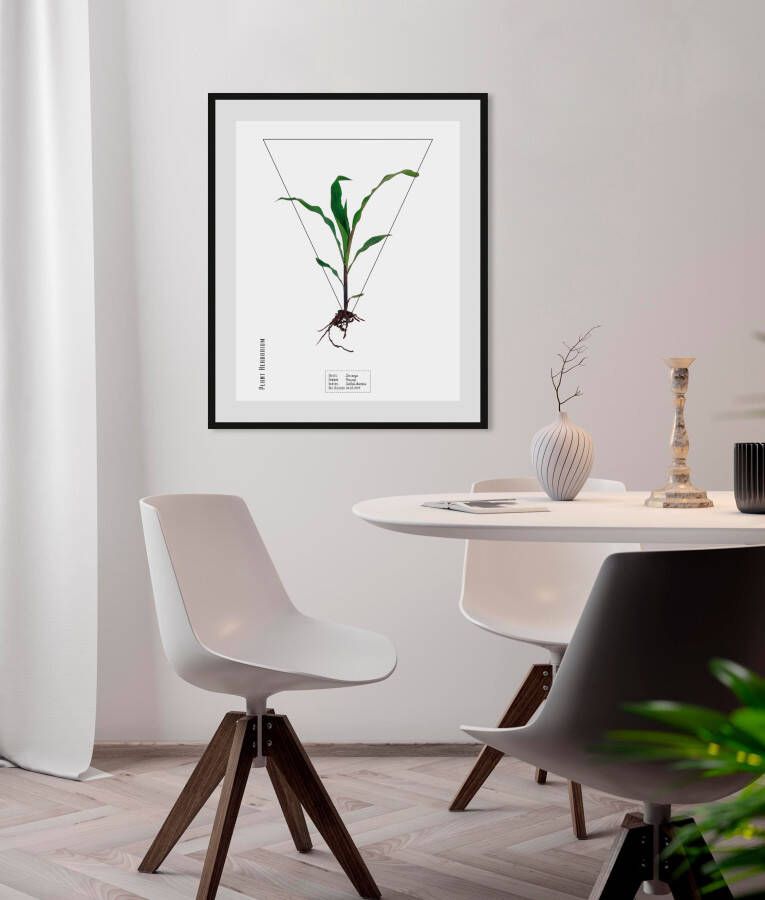 queence Wanddecoratie Zea mays (1 stuk)