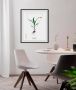 Queence Wanddecoratie Zea mays (1 stuk) - Thumbnail 1