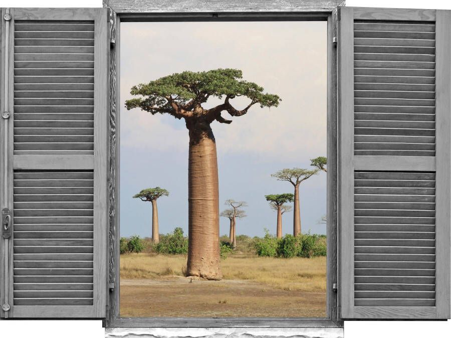 Queence Wandfolie Afrikaanse bomen (1 stuk)