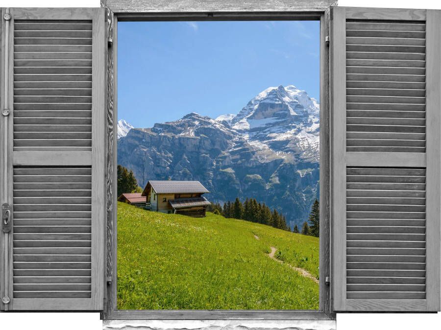 Queence Wandfolie Alpenhut Muursticker muurdecoratie zelfklevend 3D raam (1 stuk)