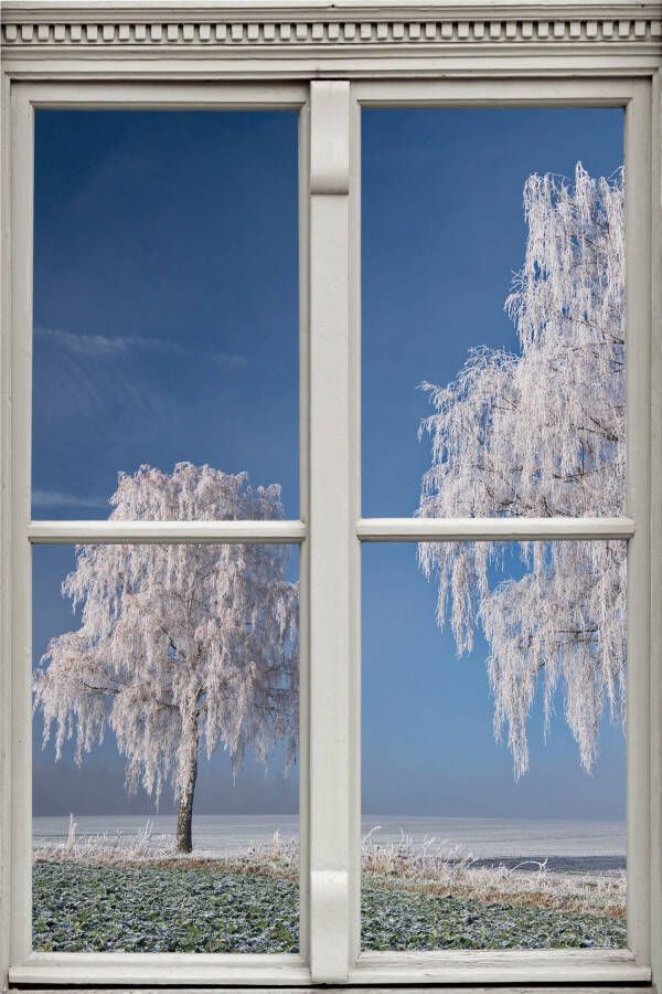 Queence Wandfolie Bomen Muursticker muurdecoratie zelfklevend 3D raam