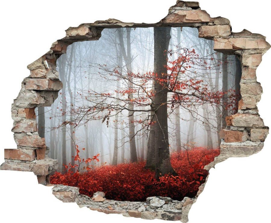 Queence Wandfolie Bos in de herfst Muursticker muurdecoratie zelfklevend 3D muurdurchbraak (1 stuk)