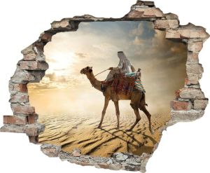 Queence Wandfolie Kameelruiter (1 stuk)