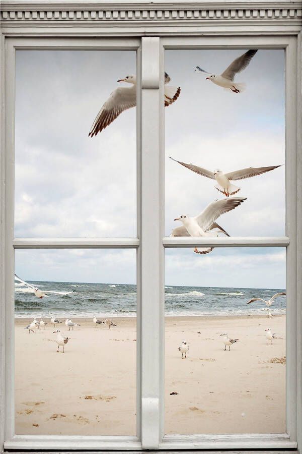 Queence Wandfolie Meeuwen aan het strand Muursticker muurdecoratie zelfklevend 3D raam