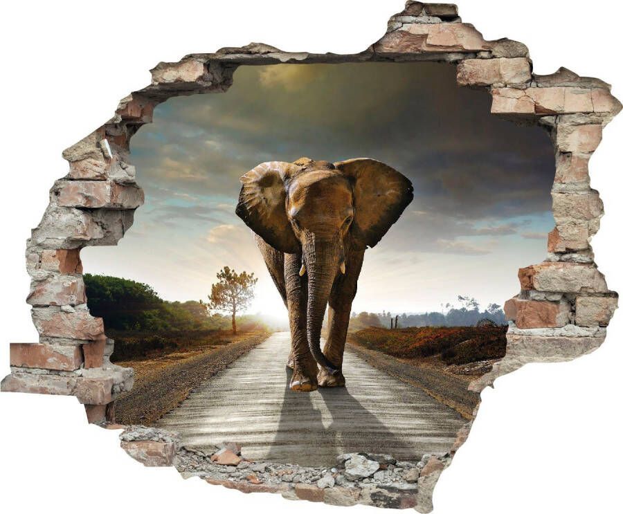 Queence Wandfolie Olifant Muursticker muurdecoratie zelfklevend 3D muurdurchbraak (1 stuk)