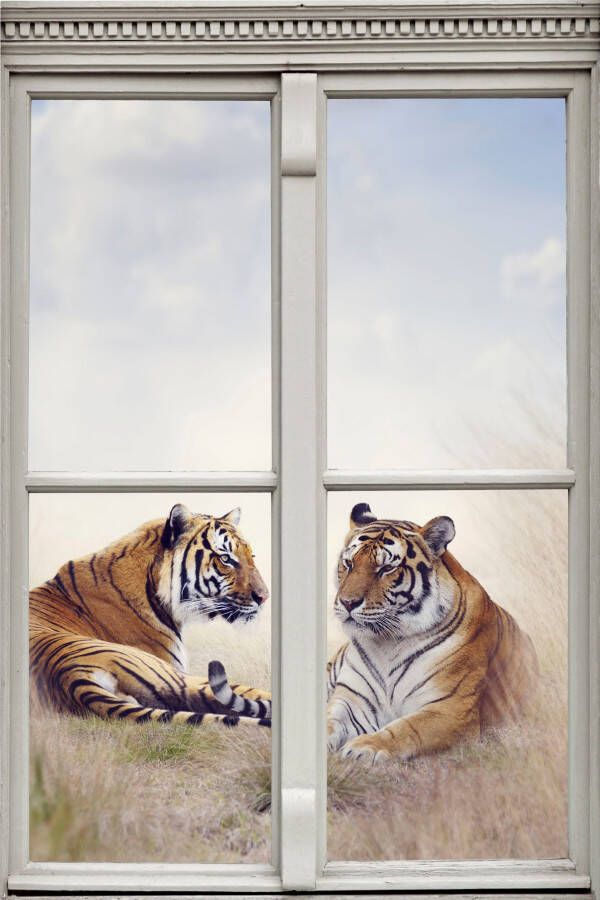 Queence Wandfolie Tijger Muursticker muurdecoratie zelfklevend 3D raam