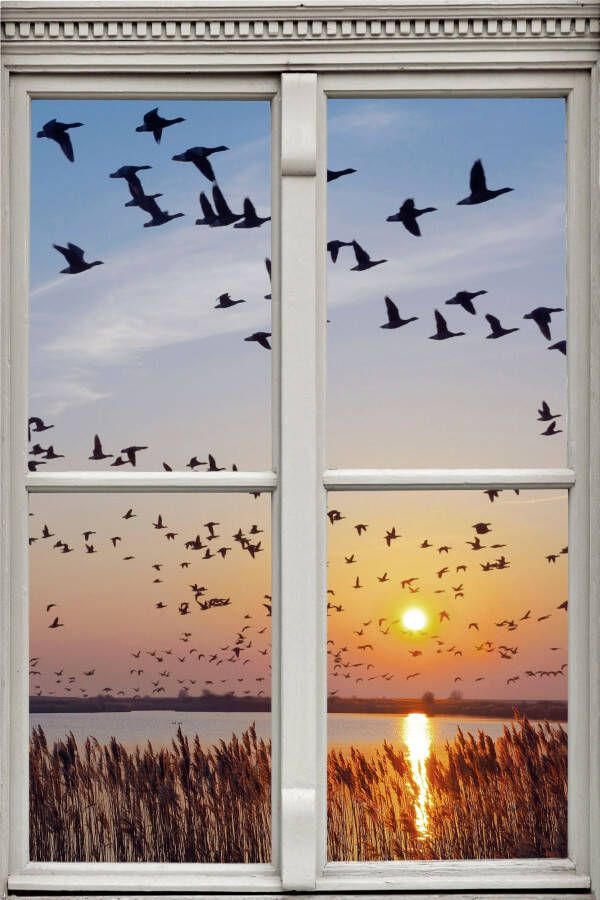 Queence Wandfolie Vogelvlucht Muursticker muurdecoratie zelfklevend 3D raam