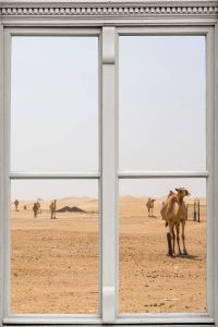 Queence Wandfolie Woestijn met kamelen