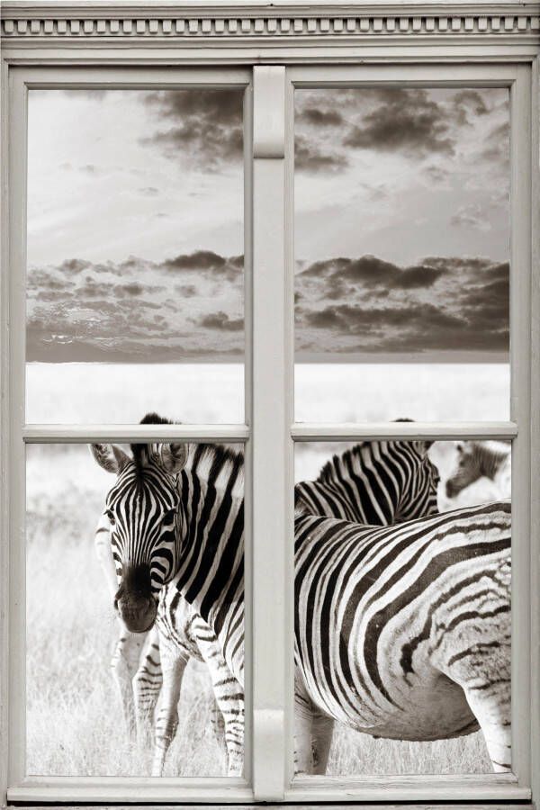 queence Wandfolie Zebra's Muursticker muurdecoratie zelfklevend 3D raam