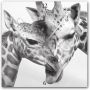 Queence Wandklok Giraffen vierkant acrylglas dierenmotief giraffen (1-delig) - Thumbnail 1