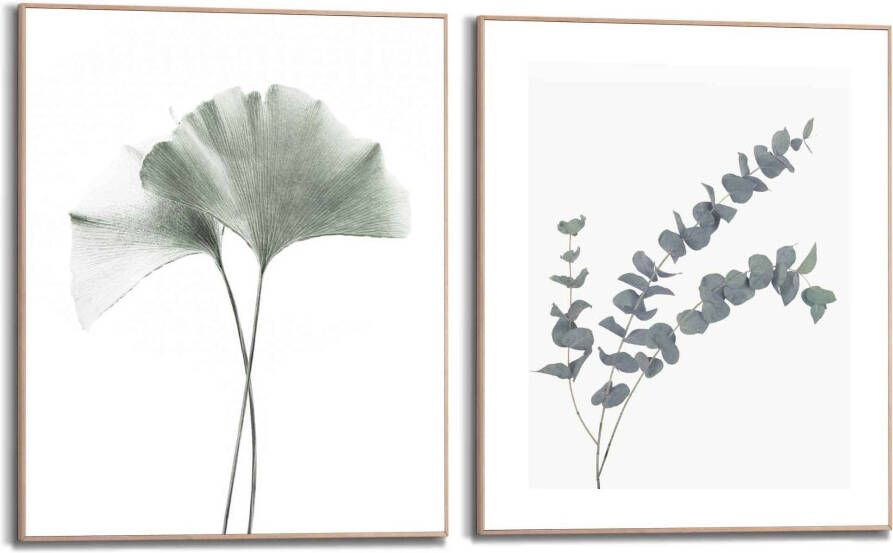 Reinders! Artprint met lijst Eucalyptusblad plant Ginko natuurmotief botanisch (2-delig)