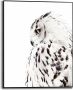 Reinders! Artprint met lijst White Owl - Thumbnail 1