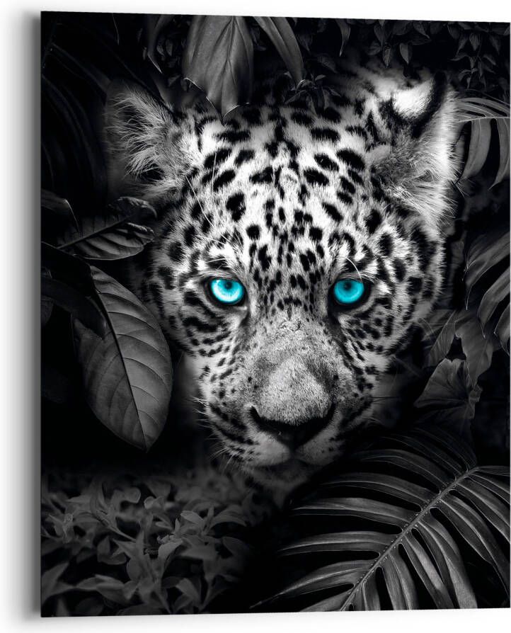 Reinders! Artprint op hout Blue Eyed Leoprad