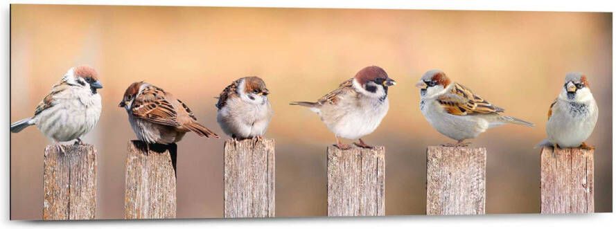 Reinders! Artprint op hout Decoratief paneel 30x90 Bird Family