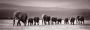 Reinders! Artprint op hout Decoratief paneel 52x156 Line of Elephants - Thumbnail 1
