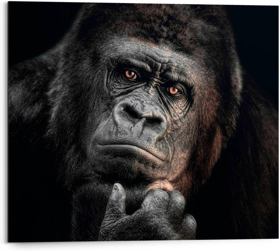 Reinders! Decoratief paneel Gorilla
