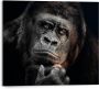 Reinders! Decoratief paneel Gorilla - Thumbnail 1