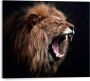 Reinders! Decoratief paneel Leeuw - Thumbnail 1