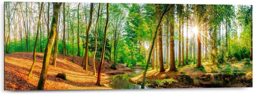 Reinders! Decoratief paneel Zonnig bos