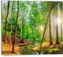 Reinders! Decoratief paneel Zonnig bos - Thumbnail 1