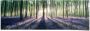 Reinders! Poster Blauwklokjes in het bos - Thumbnail 1