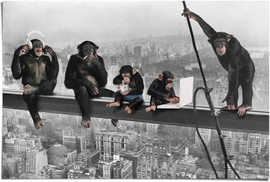 Reinders! Poster Chimpansee stalen balk