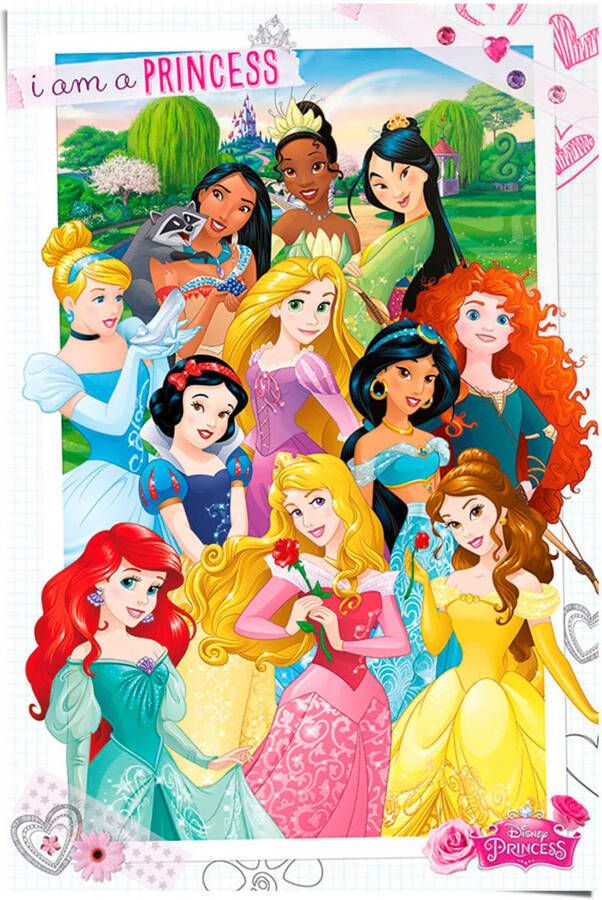 Reinders! Poster Disney Princess