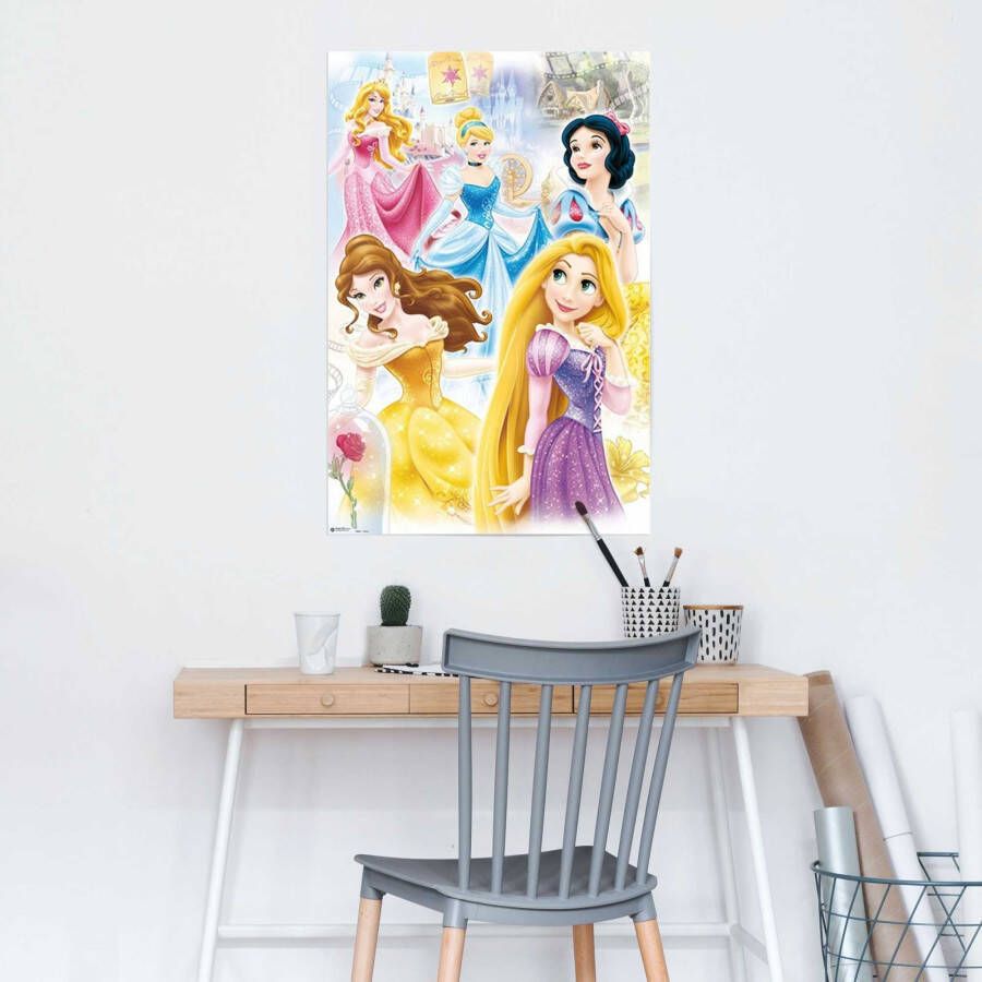 Reinders! Poster Disney Princess