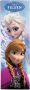Reinders! Poster Disney`s Frozen Anna & Elsa - Thumbnail 1