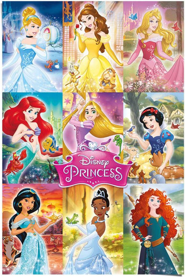Reinders! Poster Disney`s prinsessen collage