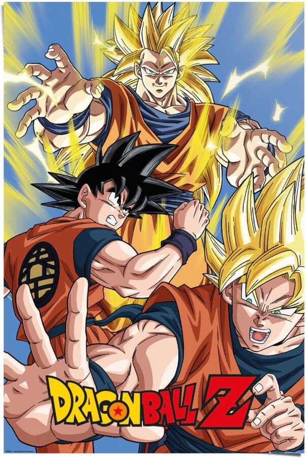 Reinders! Poster Dragon Ball Z Goku