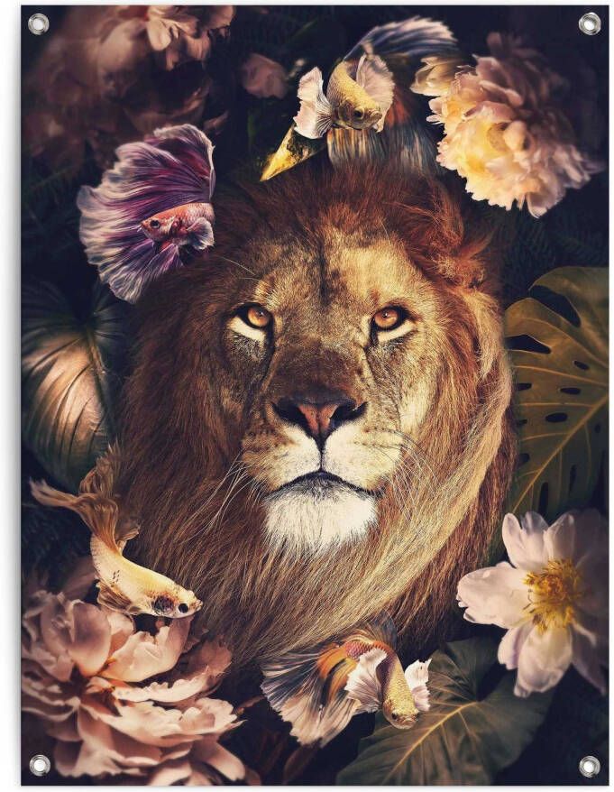 Reinders! Poster Dschungel-Löwe