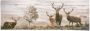 Reinders! Poster Edelherten - Thumbnail 1