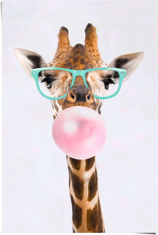 Reinders! Poster funky giraf