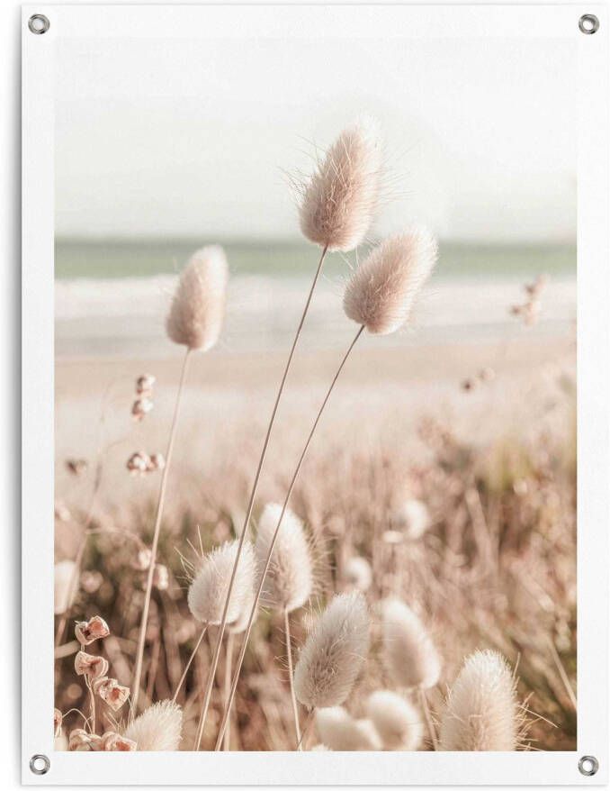 Reinders! Poster Grassen Outdoor voor tuin of balkon