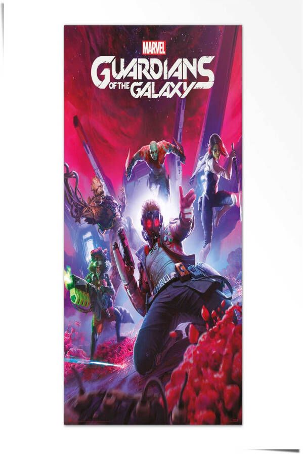 Reinders! Poster Guardians of the Galaxy