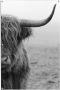 Reinders! Poster Highlander stier lichte en waterdichte tuinposter voor buiten - Thumbnail 1