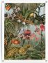 Reinders! Poster Jungle bloemen - Thumbnail 1