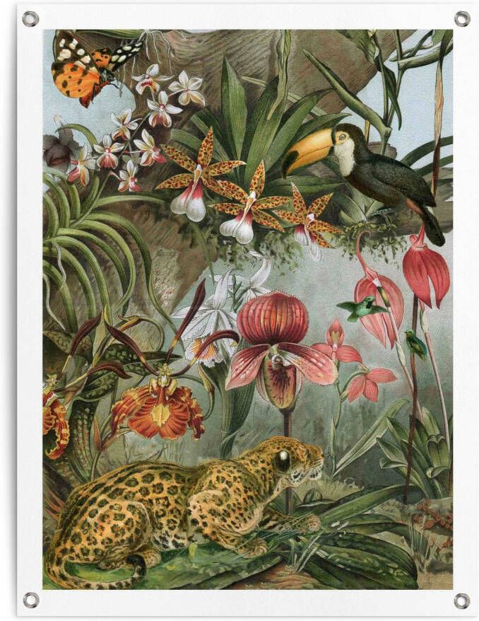 Reinders! Poster Jungle bloemen Outdoor voor tuin of balkon