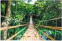 Reinders! Poster Jungle brug - Thumbnail 1