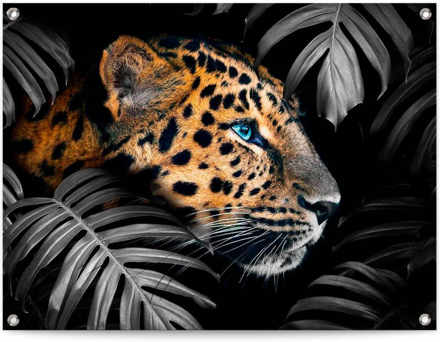 Reinders! Poster Leopard