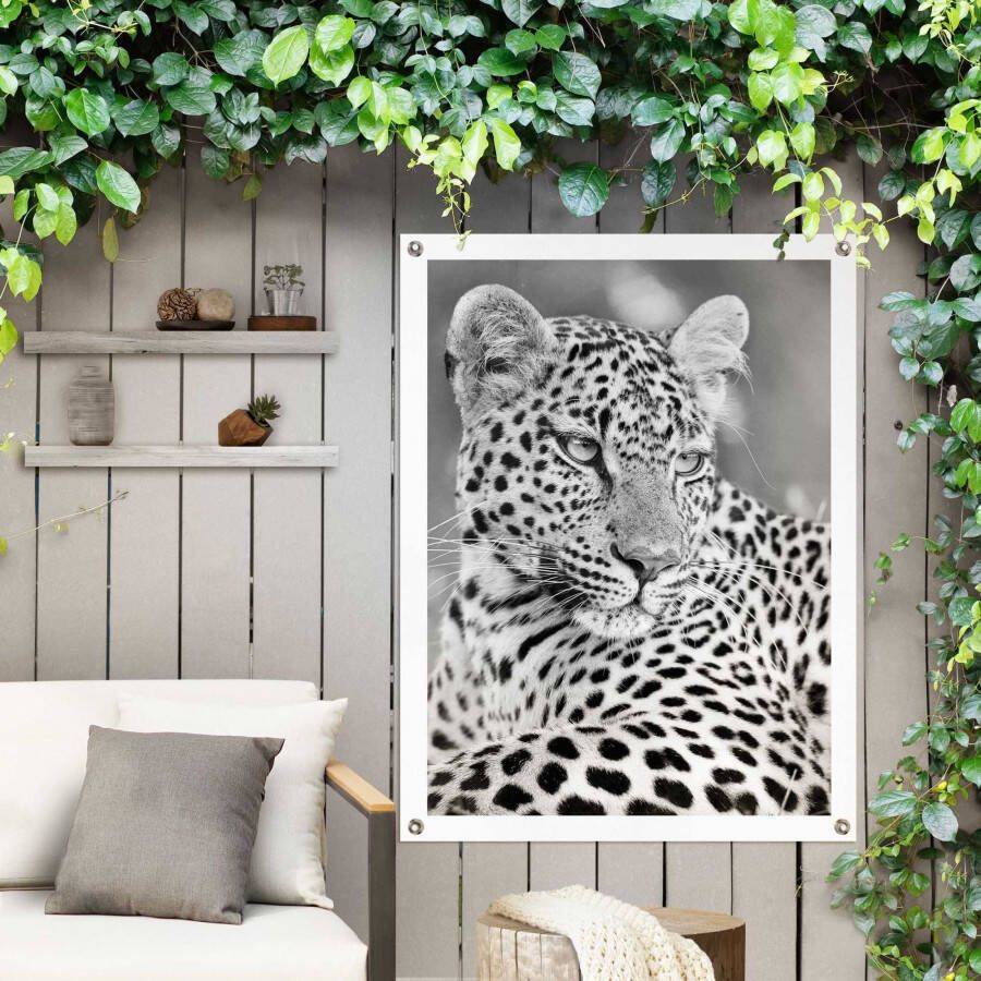 Reinders! Poster Leopard Outdoor voor tuin of balkon